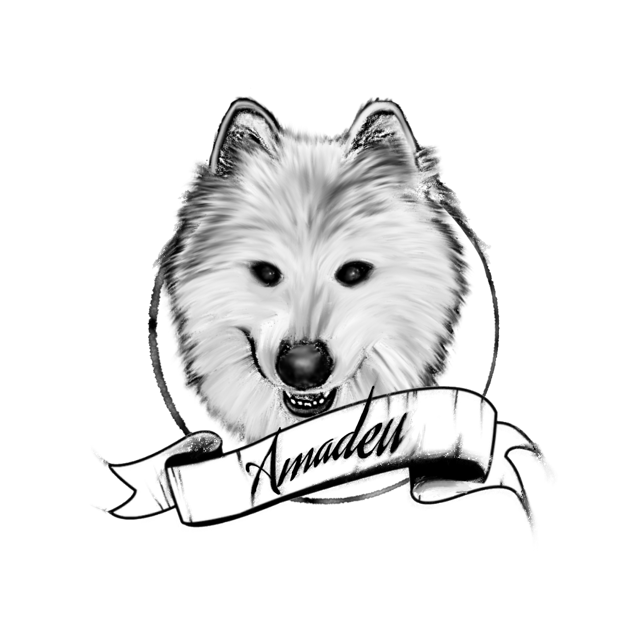 Amadeu Samoyed